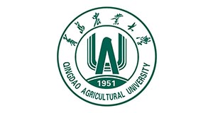 888集团电子游戏(中国区)有限公司官网
